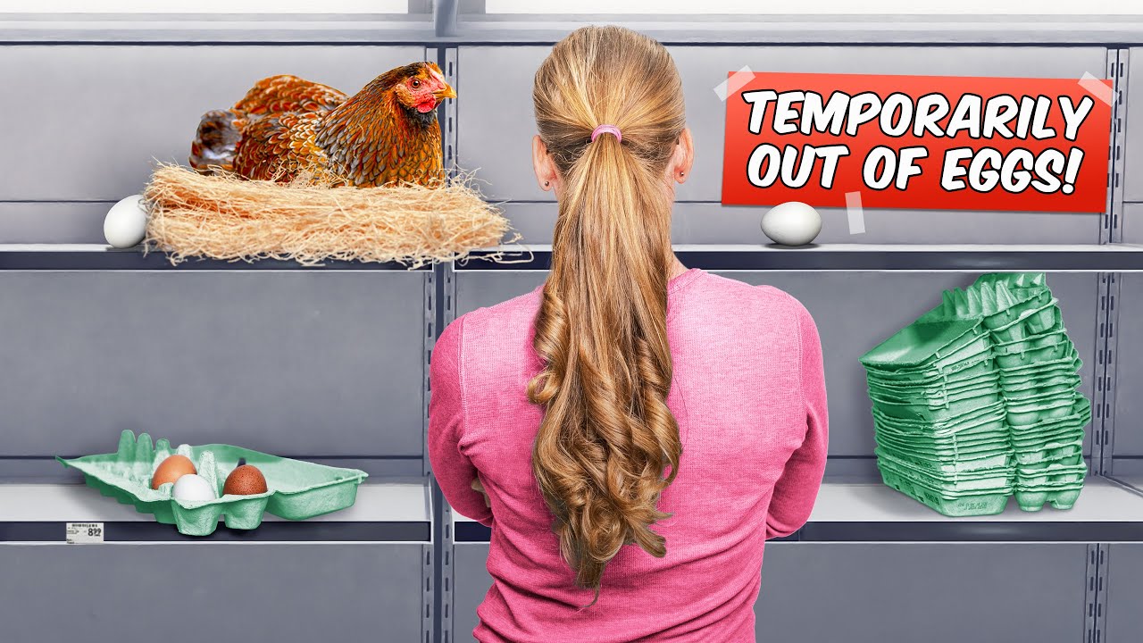 Nguyễn thị Cỏ May,   Gà mái cũng nín đẻ !